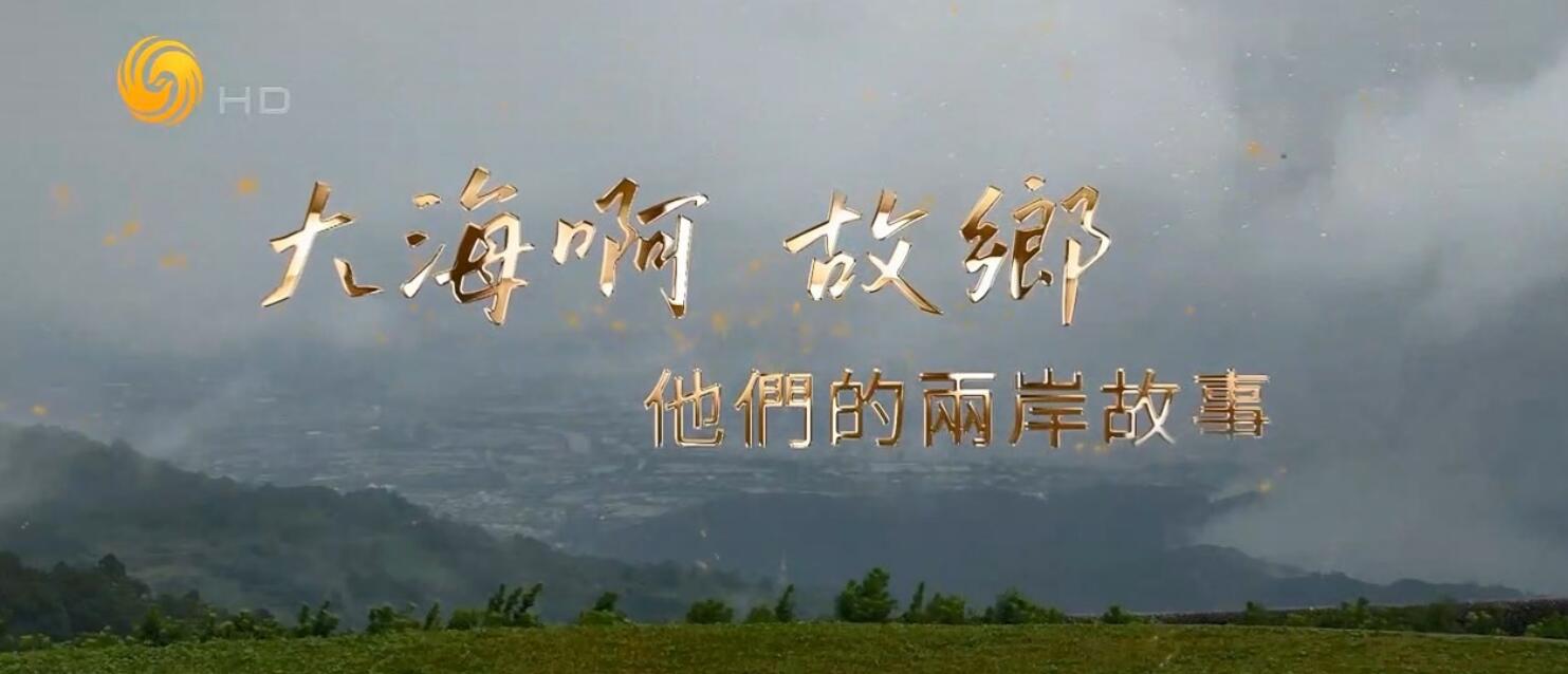 凤凰大视野.大海啊故乡.他们的两岸故事.2023.HDTV.720P.X264.AAC-NCCX