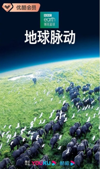 地球脉动.Planet.Earth.2006.S01/11集全.BluRay.720P.X264.AAC.2Audio-NCCX