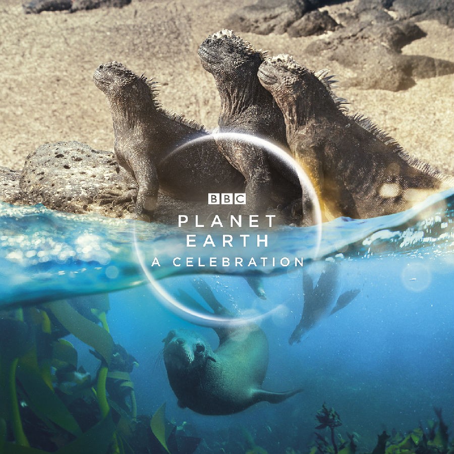 BBC.地球脉动.生命礼赞.Planet.Earth.A.Celebration.2020.BluRay.720P.X264.AAC-NCCX