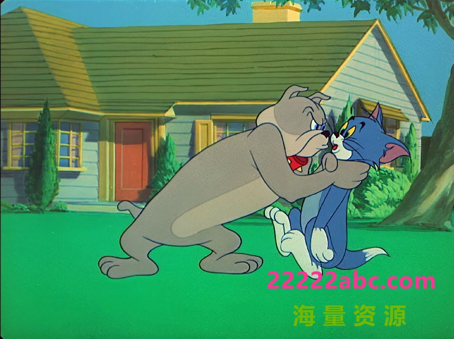 高清720P《猫和老鼠搞笑配音版》动画片 全221集 国语无字