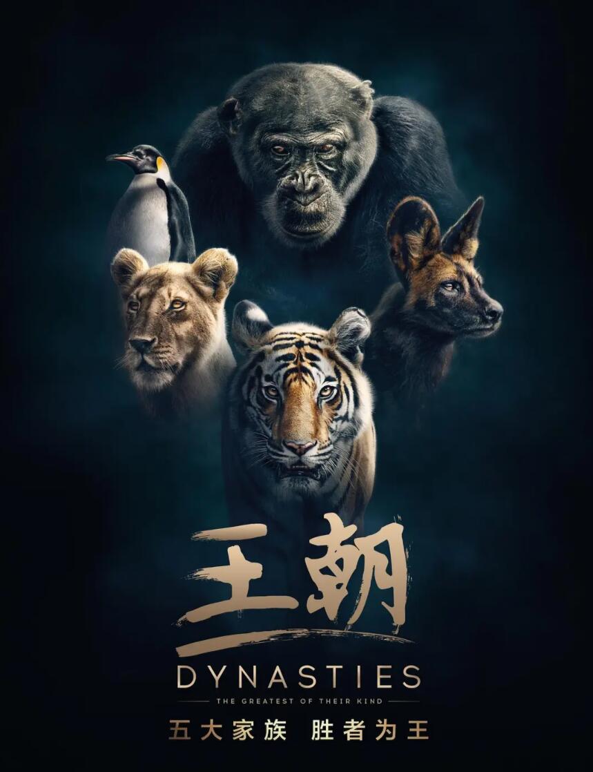 [王朝/Dynasties][5集全] [2018][国英双语中字][mp4/3.59G][720P]