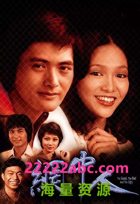 [DVD9-6碟][香港][1979][网中人I+II][国粤双语无字][VOB/46.3GB]