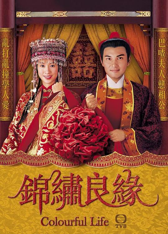 [TVB][锦绣良缘][20集全] [国语字幕][DVD-RMVB/4.54GB][480P]